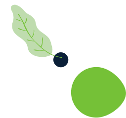 about-1-leaf about-1-leaf