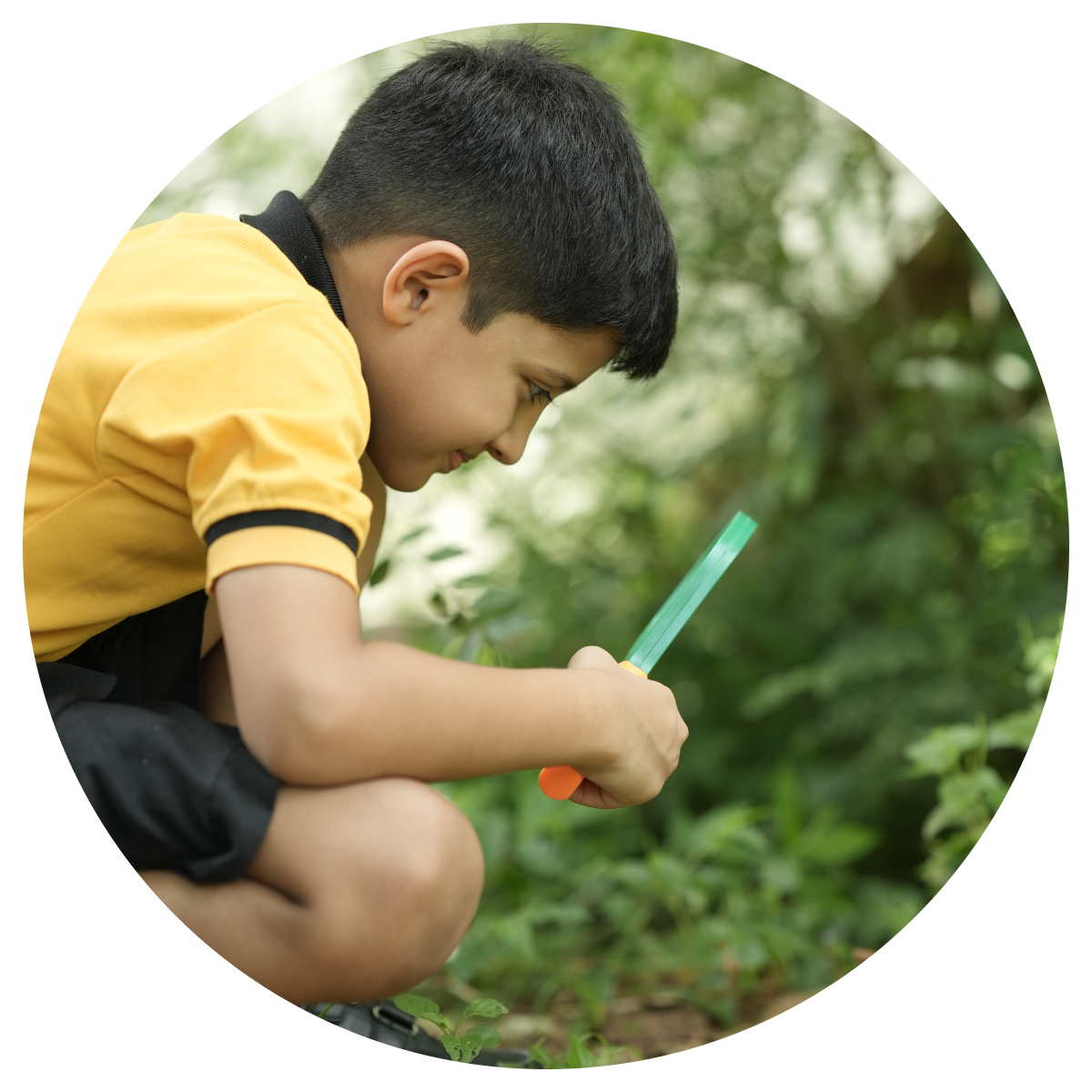 program-special Program Special